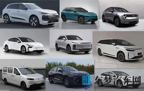 工信部第401批新车:“金标大众”殊死一搏-3