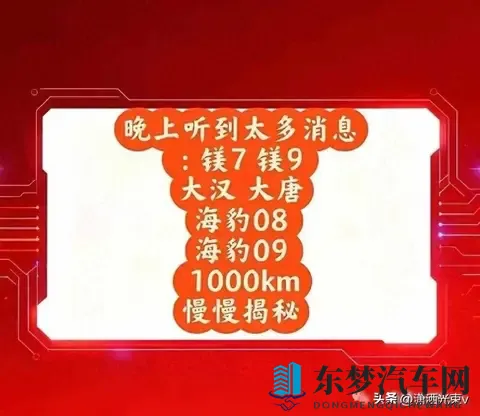 方程豹要推“镁”车，命名太硬核，品牌能扛住吗-3