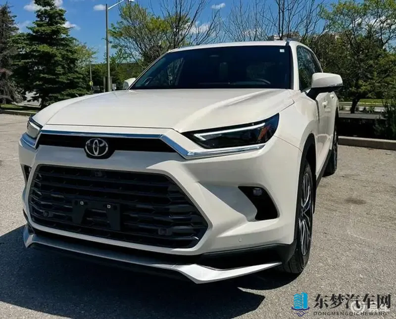 张婉莹自慰：智能汽车新潮流：未来驾驶体验革新-1