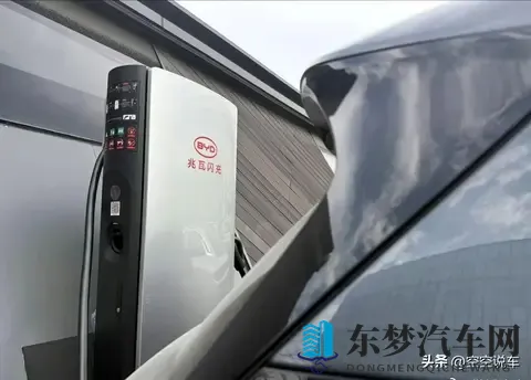 一个好妈妈4个字光头强答案：揭秘儿童动画经典台词，探寻“一个好妈妈”内涵之谜-2