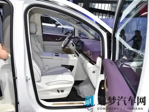 预售价7099万元_四座布局 岚图梦想家山河版将于11月21日上市-3