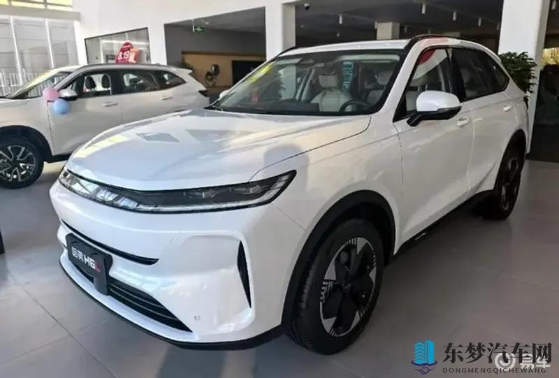 盘她S：潮流先锋，驾驭未来新高度-1