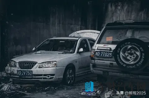 倒闭车企“烂尾车”受年轻人青睐，独特消费观引热议-2