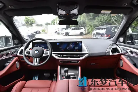 全新宝马X8登场：溜背设计引热议，智能与运动兼备瞄准中产新需求-2