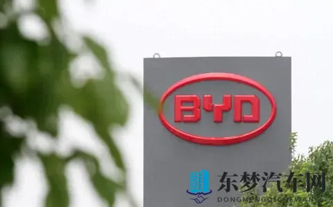 比亚迪2025，技术和市场的双重挑战-3