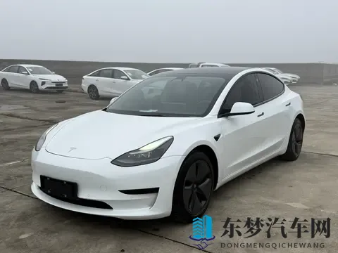 三年Model3，加速56秒，电车二手行情香不香？-1