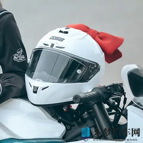 2025摩托车新手入门全攻略 法规解读+车型推荐+装备清单+驾驶技巧-3