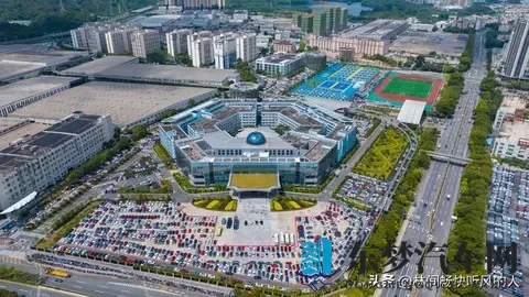 新能源车购置税减半：助力绿色出行的利好政策-1