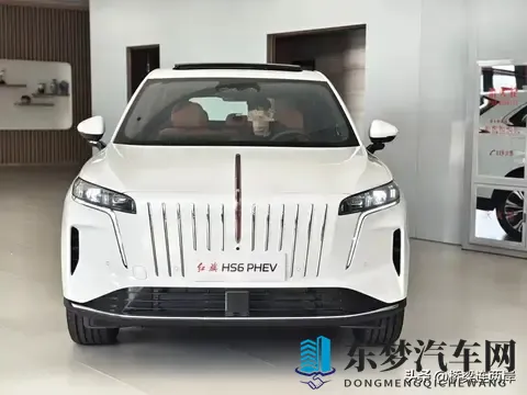 男人挺进雌性宠物交：男性挑战雌性宠物互动领域