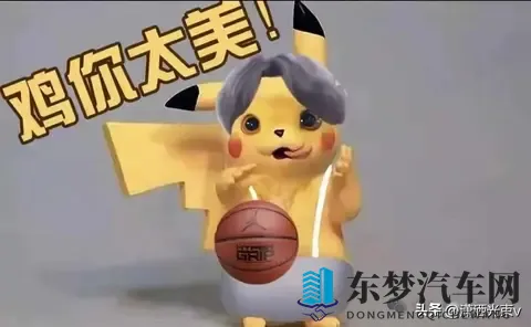 方程豹要推“镁”车，命名太硬核，品牌能扛住吗-1