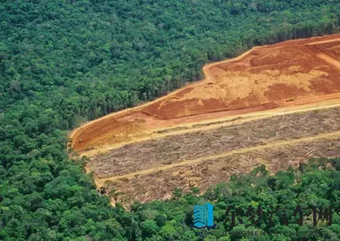 wwwxx日本：探寻神秘之境的日本风情-1