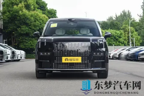 极氪009:原来MPV不只是谈生意用的!11月限时购车更合适-2