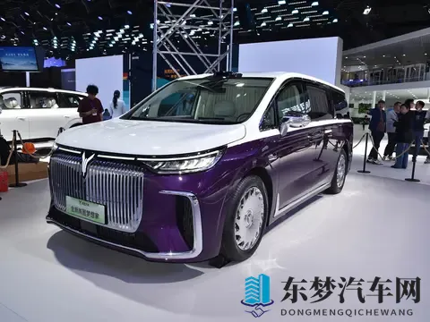 预售价7099万元_四座布局 岚图梦想家山河版将于11月21日上市-1