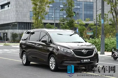 中国农村树林性BBw：环保汽车新趋势：农村市场绿色出行革命-2