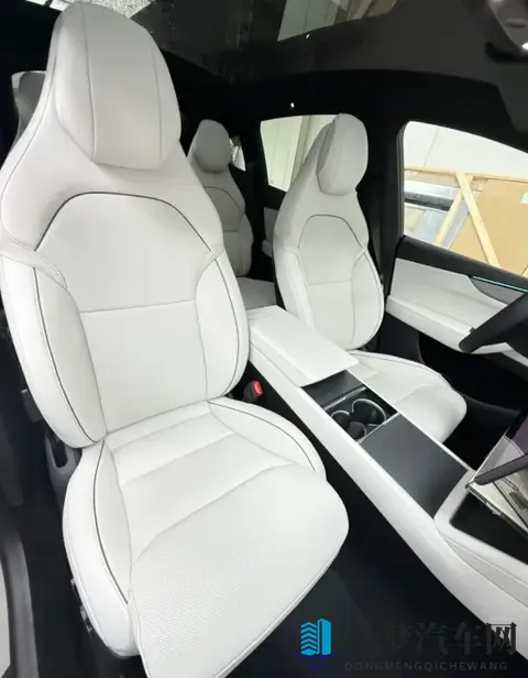 Model Y L 浅灰内饰太好看了！选装太值了！-2