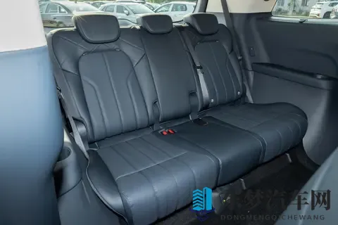 全能MPV该有啥？26款岚图梦想家PHEV带劲不？-2