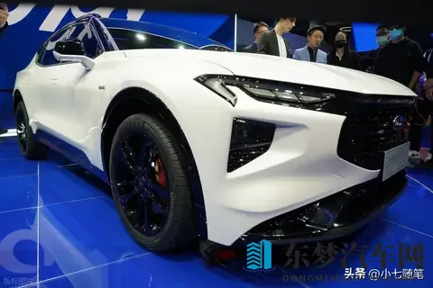 这么漂亮的车，在中国打不开市场，可惜了-2