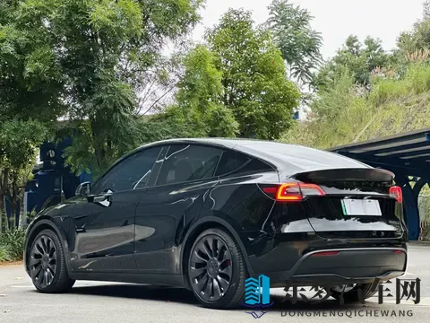 22年特斯拉Model Y：61万公里，高性能版，电车加速天花板？-3