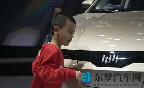 一夜负债200亿？电动车巨头轰然倒塌：终于活成贾跃亭信徒-1