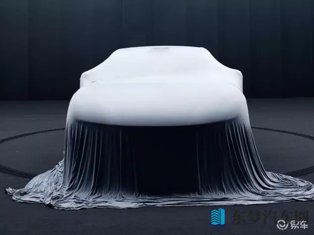 猫咪社区官网：宠物乐园官方网站，猫咪专属天地-3