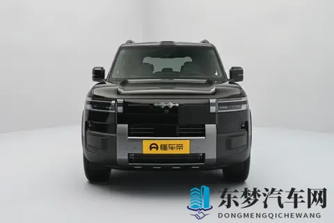 家庭用车选它不纠结！空间大、能耗低、续航长，带娃出行超省心-2