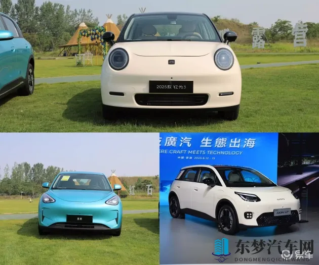 黑人 娇小 亚洲 硬：硬朗小车新潮流，市场潜力大爆发-1