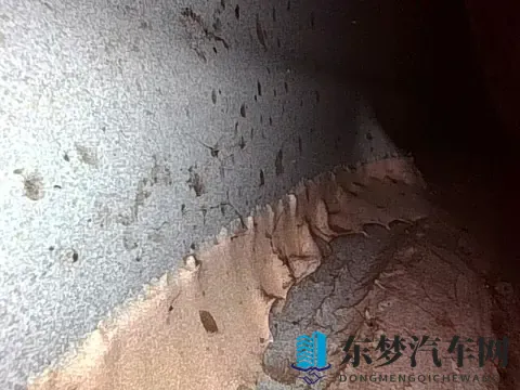 芭乐ios最新版官网下载入口：芭乐iOS官方最新版本免费下载-2