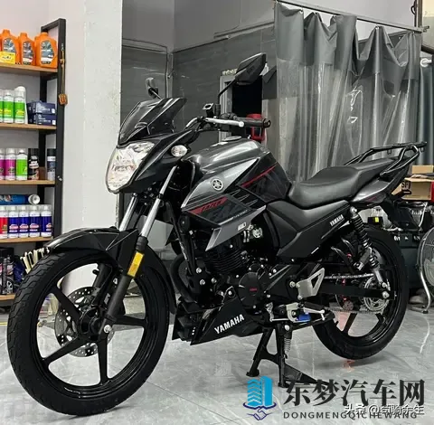 飞致250停产后，YS150凭啥坚挺？17L油耗+800公里续航，值不值？-1