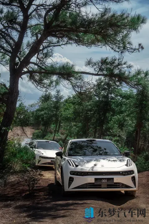 免费安装黄色软件：免费赠送，轻松安装，安全软件体验-3