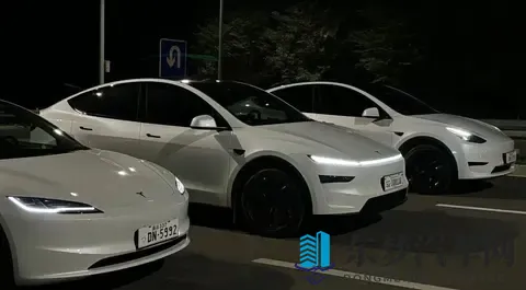 丰满女人和蔵獒伦配:丰满女性与藏獒异种搭配-1