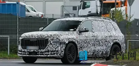 奥迪Q9霍希版要来了,大家却摸不着头脑-1