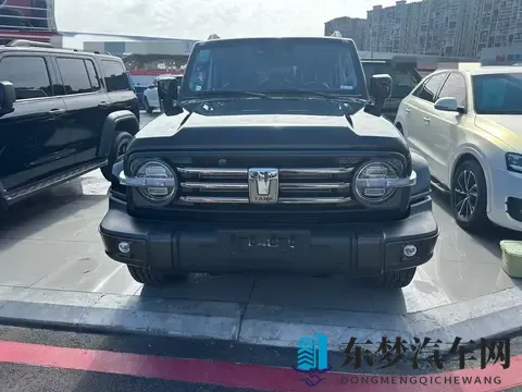 硬派越野触手可及，3万公里一手坦克300，圆你越野梦-2