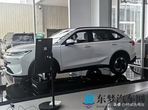 哈弗H6L燃油版到店！尺寸超H6，轴距2米8，12万起能火吗？-1