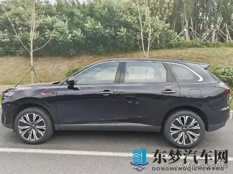 人与马胶配方大全高清:天然马人胶配方汇总,高清教程一网打尽-2