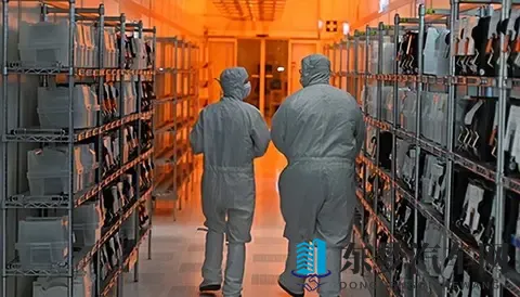 荷兰算盘打错了！中国“断供”反制，欧车企集体逼宫，荷兰陷绝境-1