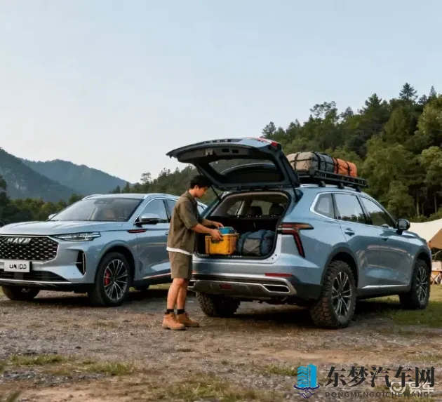 妺妺窝www仙踪林：新能源汽车崛起，智能驾驶引领未来出行革命-2