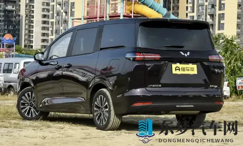 10万级MPV，油耗低，大空间，配舒享座驾-2