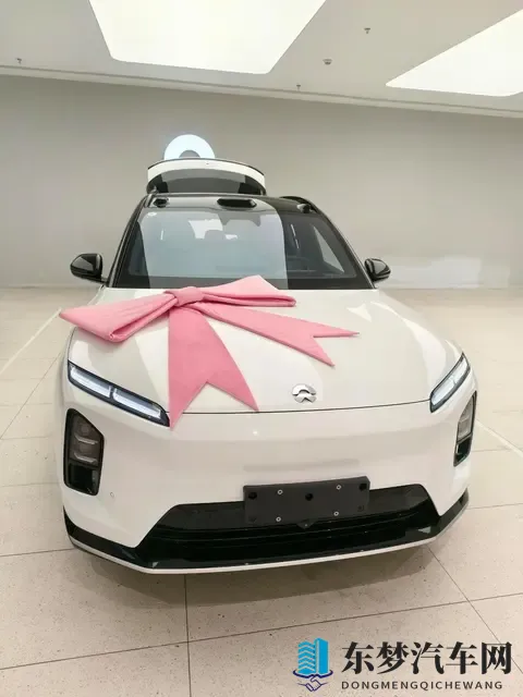 蔚来订单破万,乐道压价抢人,萤火虫悄悄布局-1