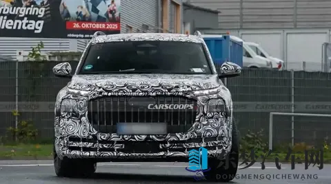 奥迪Q9霍希版要来了,大家却摸不着头脑-2