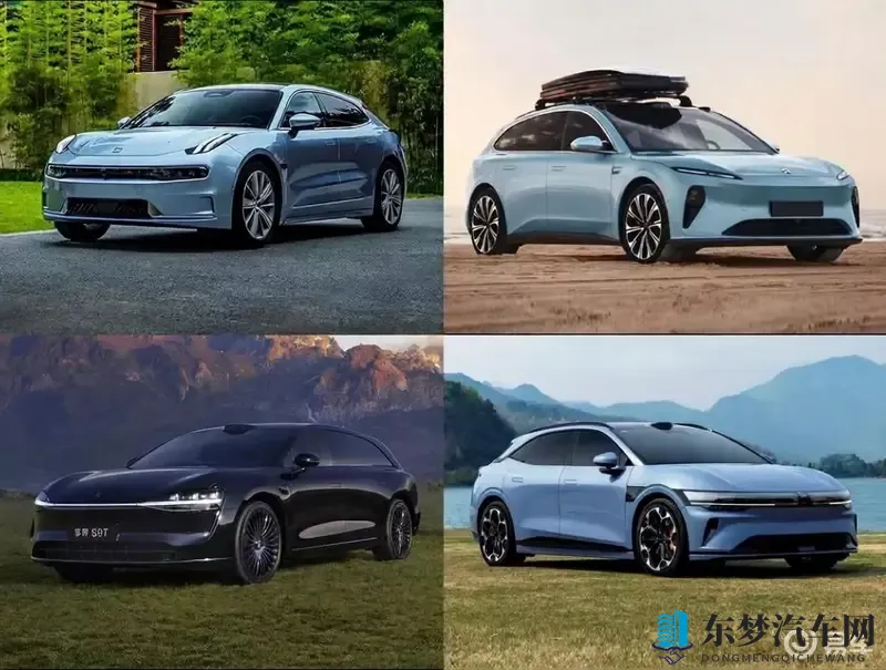 名泬pics多毛：名泬图片细节丰富，毛发清晰可见