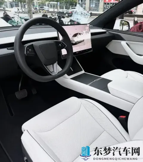 Model Y L 浅灰内饰太好看了！选装太值了！-1