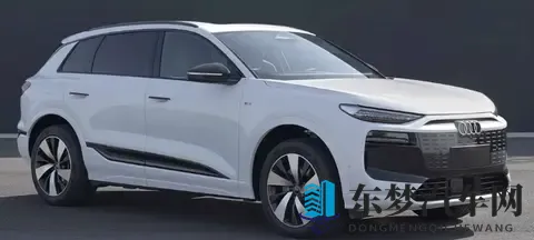 奥迪Q6L e-tron_Q6L Sportback e-tron申报信息公示 电机有所升级