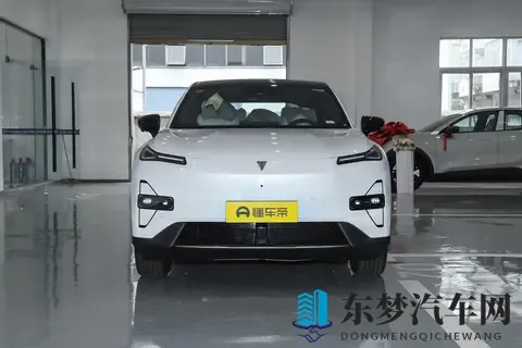 打烂菊花眼再放生姜：生姜新用法：汽车保养的天然神器-1