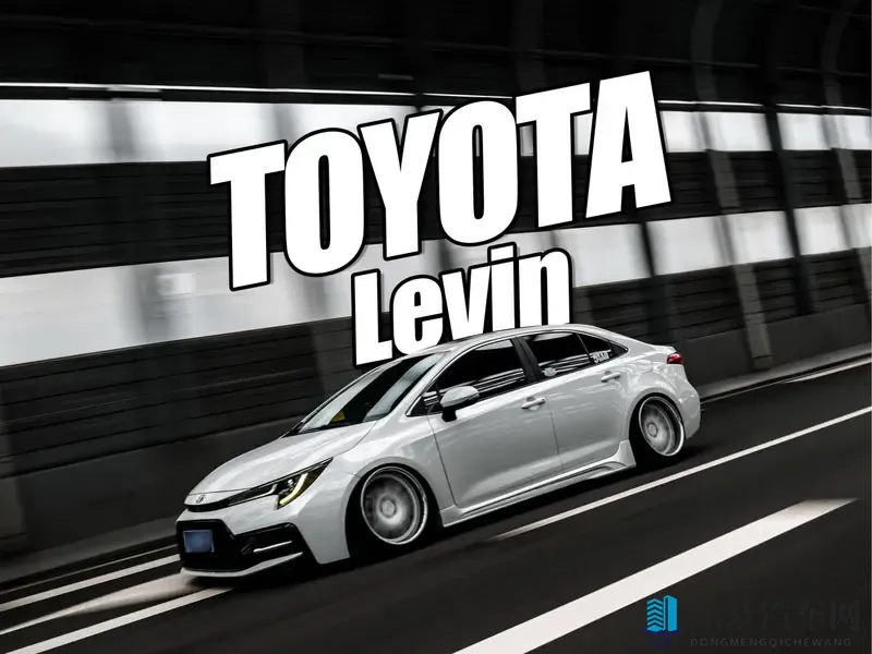 气动加持的丰田雷凌！“公路三大妈”玩起低趴也能有颜值！