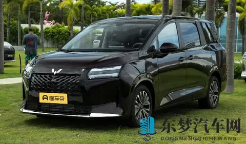 星光730预售768万起，续航达1100km，大七座满足全家出行需求-2