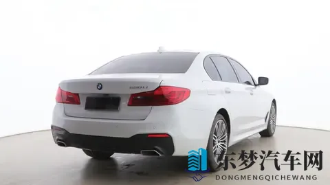 欧美又粗又长：独特魅力车型崛起，欧美市场新宠引关注-2