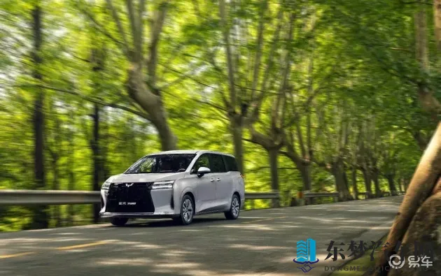 香蕉插桃子：香蕉与桃子奇妙结合-1