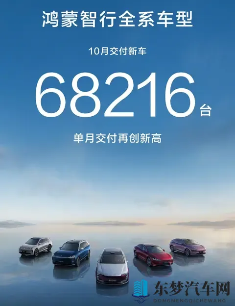 政策收紧前夜车市上演最后狂欢，谁在狂奔谁掉队？-2