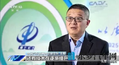 免税快没了，大家疯抢车，车企开始拼真本事-2