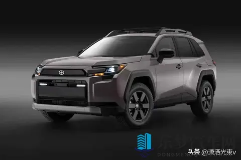 丰田威兰达换代，双车战略打架，新能源暗流涌动-3